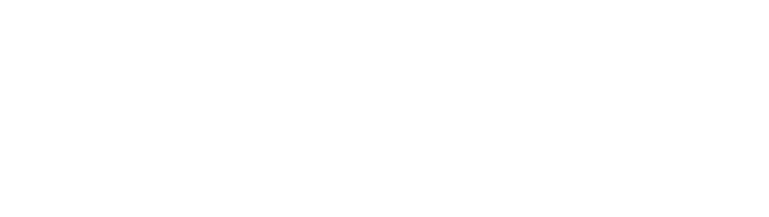 Dinis Guarda signature